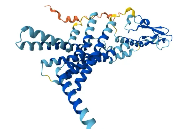 甚麼是GLP-1藥品？GLP-1的科學發現和藥理作用