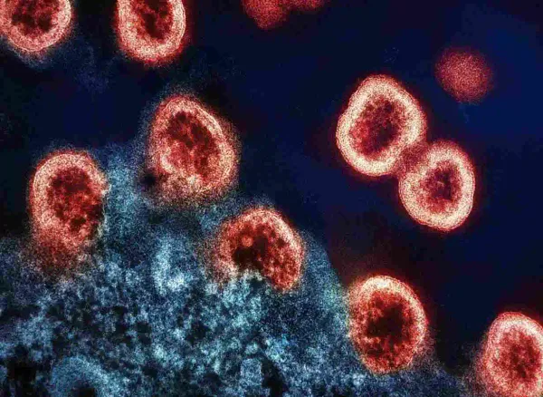 CAR-T 給生技產業的一堂課：科學突破不直接等於商業成功